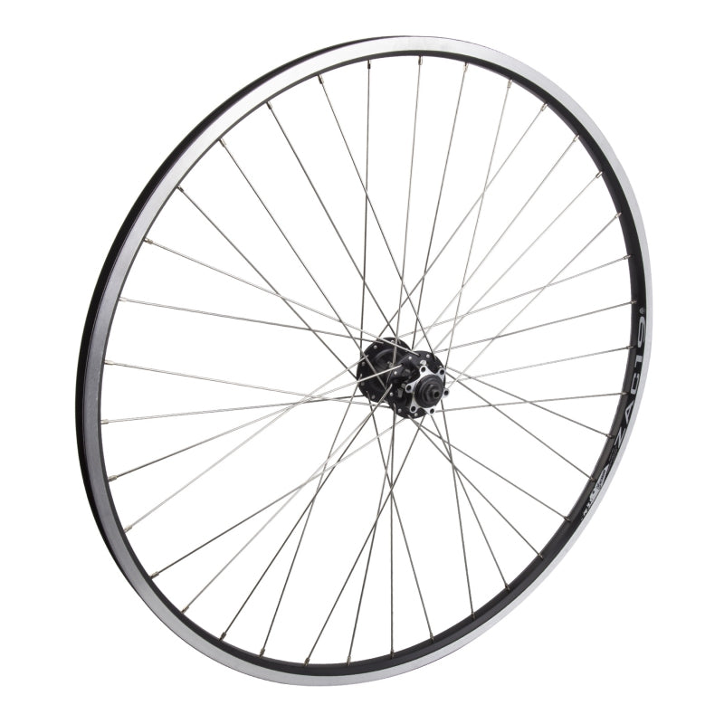 Wheel Master 29er Front Mountain Bike Wheel - Alloy Double Wall Disc, 100mm QR, 36H