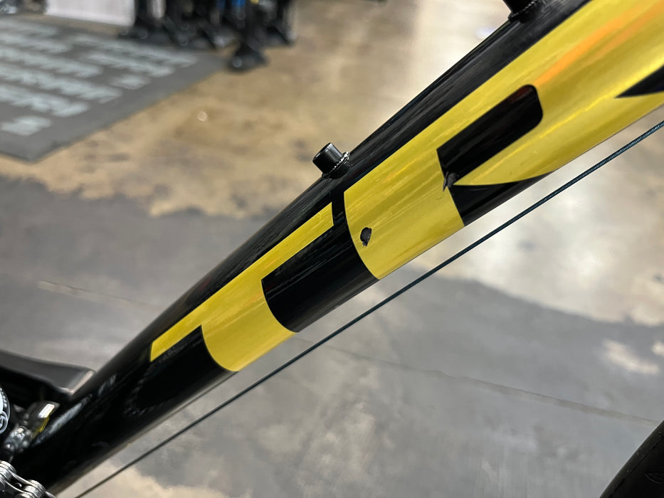 Trek Domane AL2 Shimano Claris - Black/Gold 2023 USED