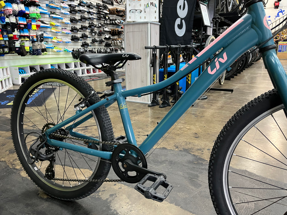 Liv Enchant 24 - Teal/Pink USED