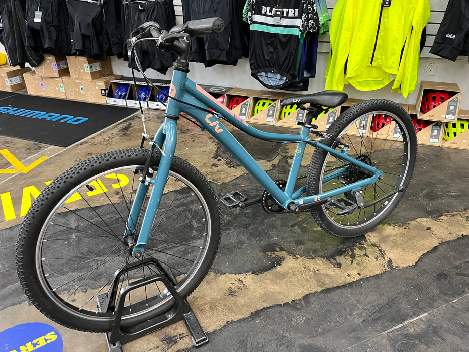 Liv Enchant 24 - Teal/Pink USED