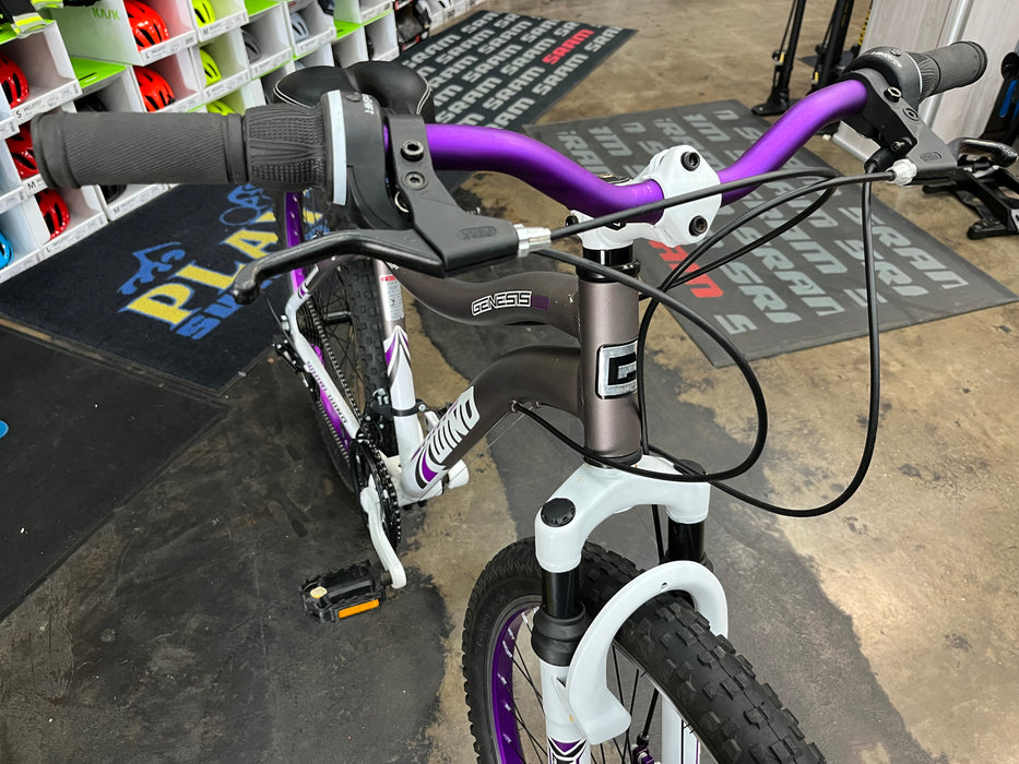 Genesis 26" Whirlwind Mountain Bike - Grey/White/Purple USED