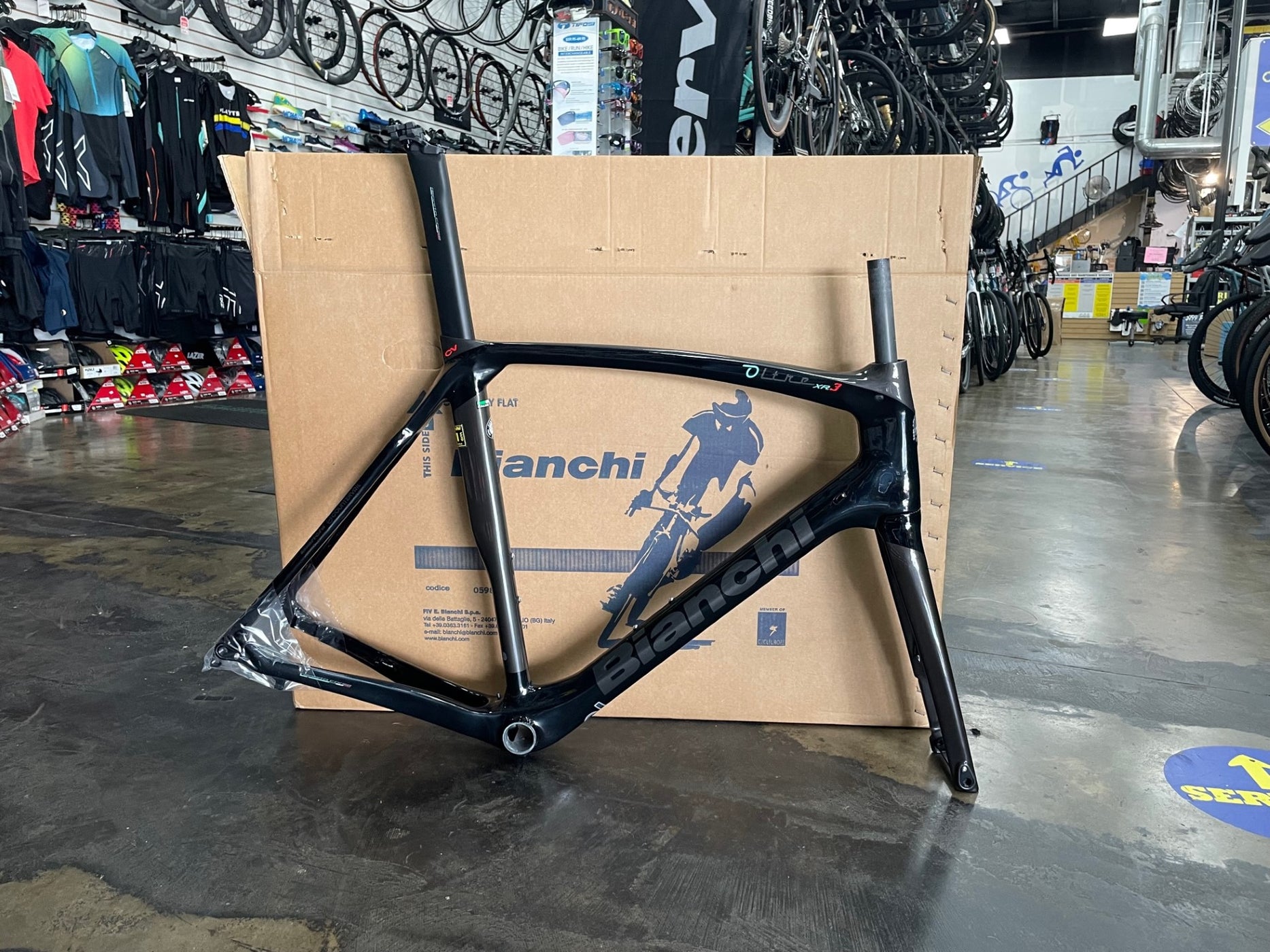 bianchi xr3 frameset