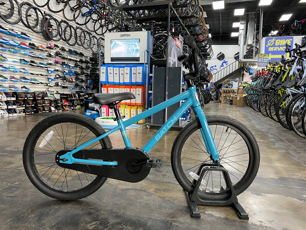 Batch 20 hot sale bike